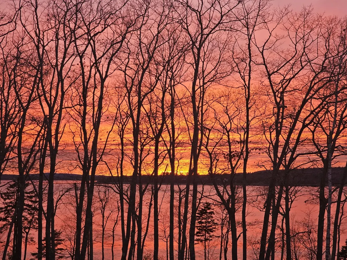 Maine Winter Sunset